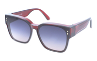 Polarized sunglasses superimposed over PolarZone 11-3 eyeglasses
